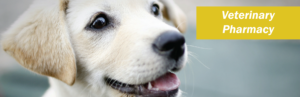 Veterinary Compounding Pharmacy