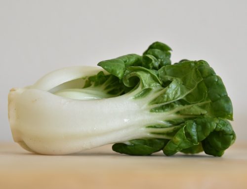 Remarkable Healing Benefits of Bok Choy