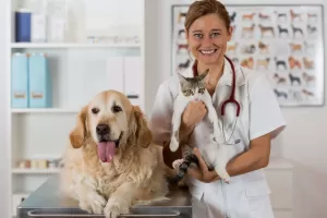 Getting the Right Meds for All Animals, Big and Small