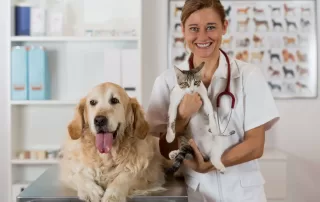 Getting the Right Meds for All Animals, Big and Small